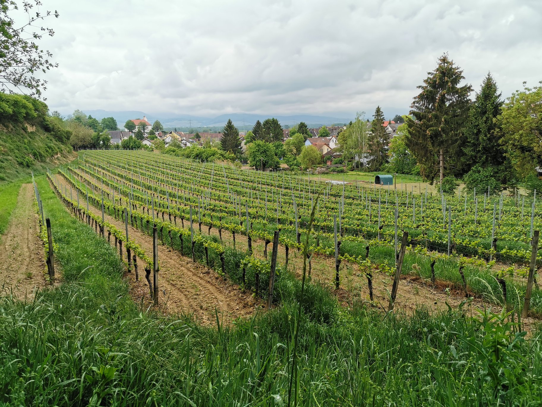 france vineyards spring tour